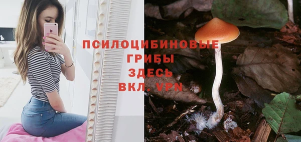 винт Верхний Тагил