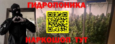 а пвп мука Кингисепп
