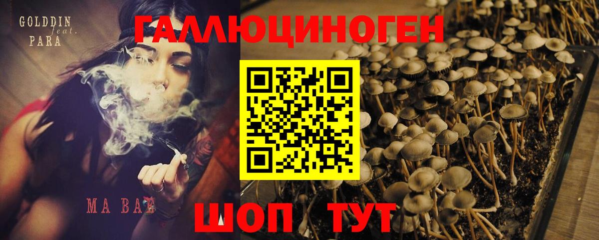 Галлюциногенные грибы Cubensis  Вход с VPN  Галлюциногенные грибы мухоморы  Октябрьский 