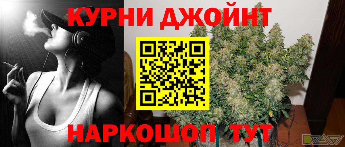Шишки марихуана марихуана Октябрьский